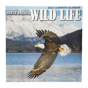 North America Wild Life 12*12" Wall Calendar 2023 Eagle Flying on Cover